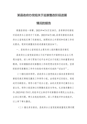 巡察整改阶段进展情况报告（政府办党组）.docx