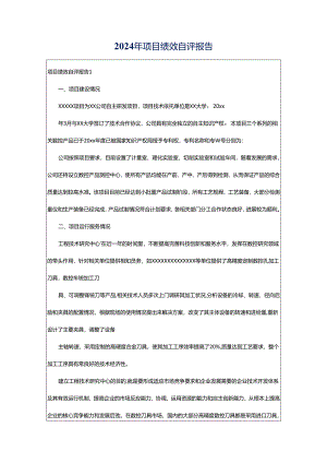 2024年项目绩效自评报告.docx