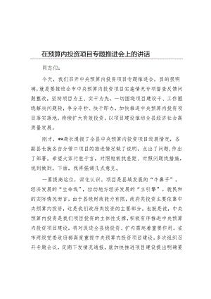 在预算内投资项目专题推进会上的讲话.docx
