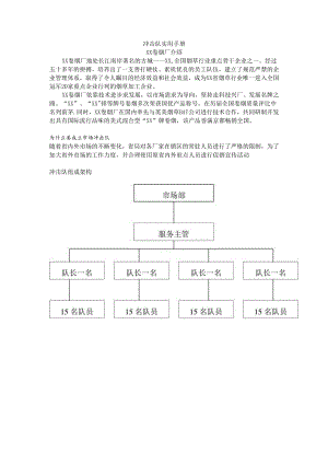 冲击队手册.docx