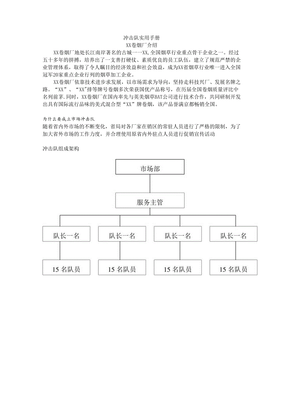 冲击队手册.docx_第1页