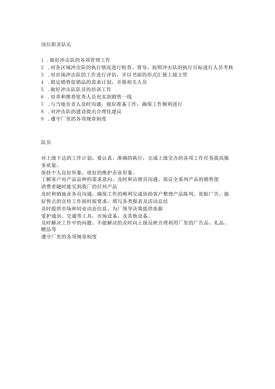 冲击队手册.docx_第2页