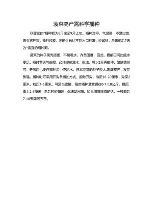 菠菜高产需科学播种.docx
