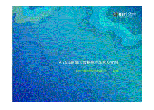 ArcGIS影像大数据技术架构及实践.docx