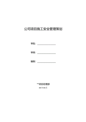 公司项目施工安全管理策划.docx