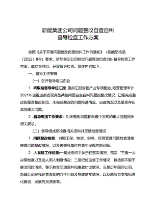 新能集团公司问题整改自查自纠督导检查工作方案.docx