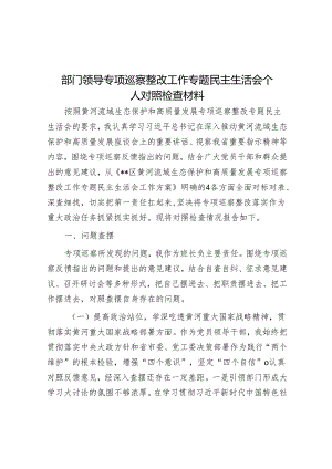 部门领导专项巡察整改工作专题民主生活会个人对照检查材料&被巡察单位领导在巡察工作上的表态发言.docx