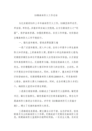 XX镇森林防火工作总结.docx