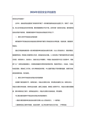 2024年项目安全评估报告.docx