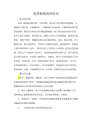菠菜根腐病的防治.docx
