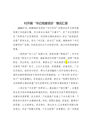党建项目情况汇报（村党支部书记）.docx