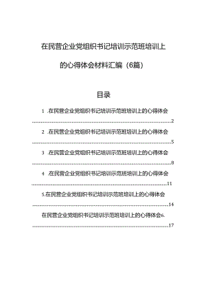 在民营企业党组织书记培训示范班培训上的心得体会材料汇编（6篇）.docx