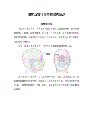 临床五官科鼻旁窦结构要点.docx