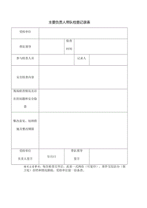 主要负责人带队检查记录表.docx