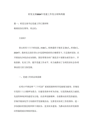 村党支部2024年党建工作发言材料两篇.docx