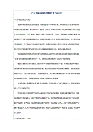 2024年导购试用期工作总结.docx