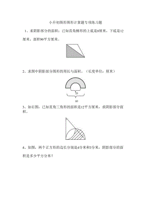小升初图形图形计算题专项练习题.docx