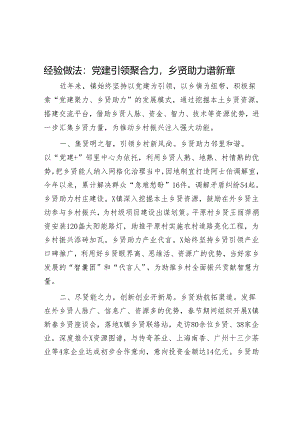 经验做法：党建引领聚合力乡贤助力谱新章.docx