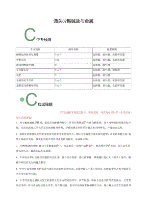 通关07 酸碱盐与金属（解析版）.docx