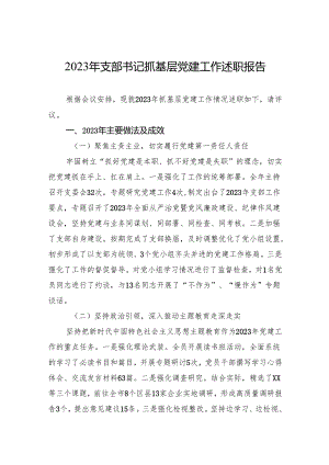 2023年支部书记抓基层党建工作述职报告.docx