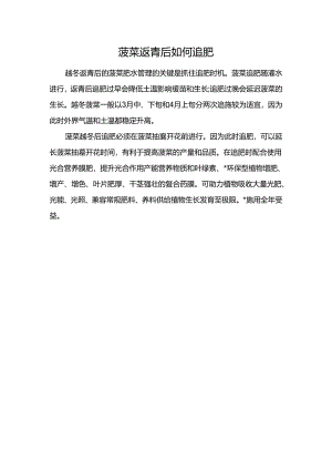 菠菜返青后如何追肥.docx