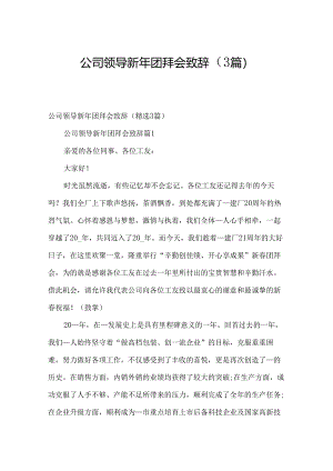 公司领导新年团拜会致辞（3篇）.docx