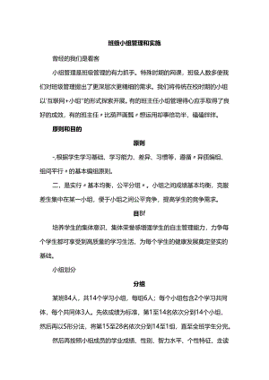 班级小组管理和实施.docx