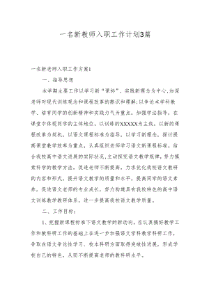 一名新教师入职工作计划3篇.docx