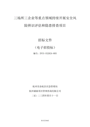 重点领域持续开展安全风险辨识评估和隐患排查项目招标文件.docx