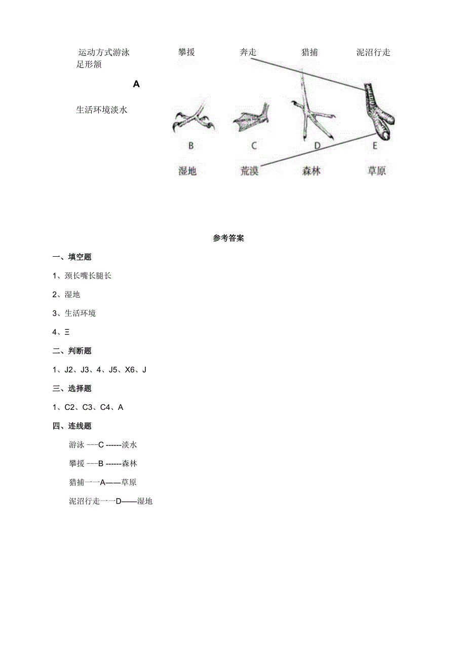 小学科学粤教粤科版六年级下册《丹顶鹤生活在哪里》练习(含答案).docx_第3页