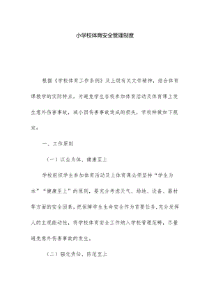 小学校体育安全管理制度.docx