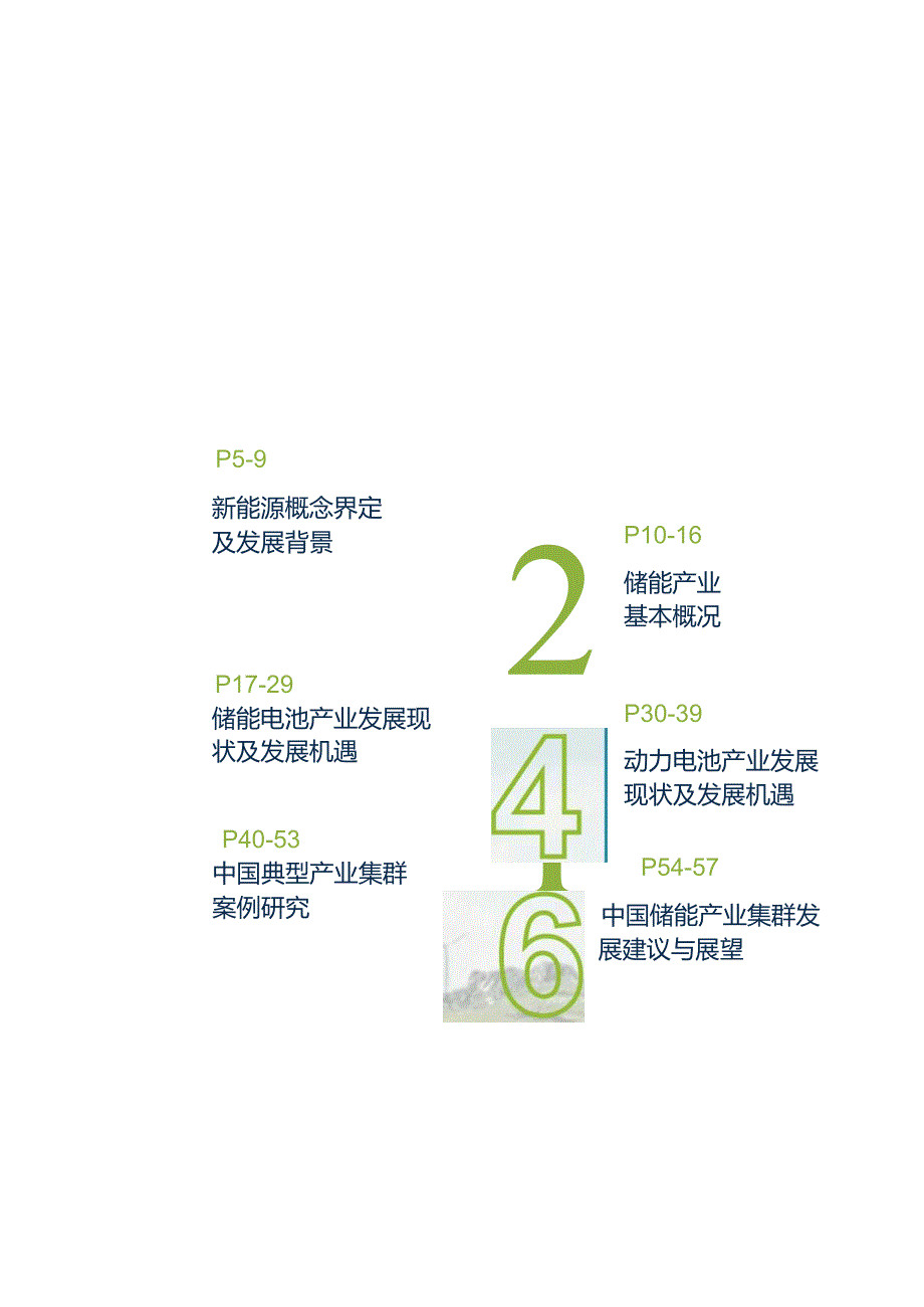 2024中国储能(含动力电池)白皮书.docx_第1页