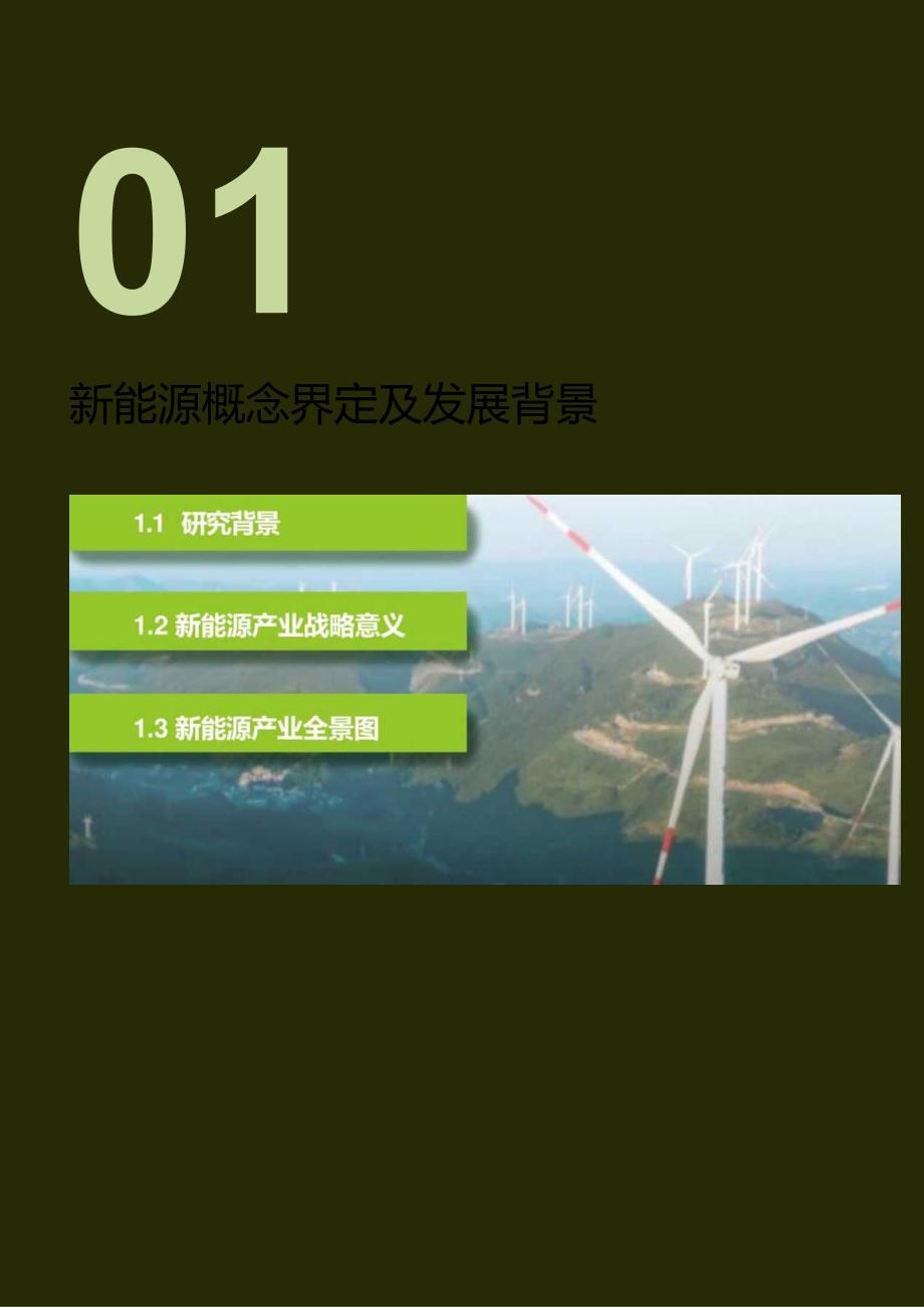 2024中国储能(含动力电池)白皮书.docx_第2页