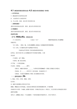 4.1《基因指导蛋白质的合成》4.2《基因对性状的控制》导学案.docx
