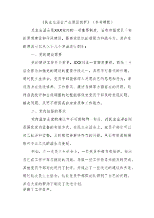 《民主生活会产生原因剖析》（参考模板）.docx