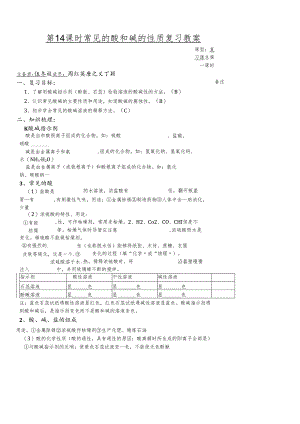人教版九年级下册第10单元第14课时复习教案(无答案).docx