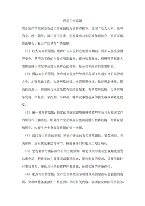 应急工作原则.docx