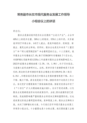 常务副市长在市现代服务业发展工作领导小组会议上的讲话.docx