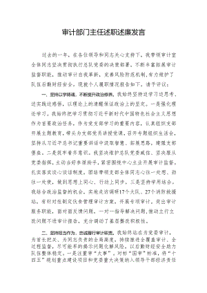 审计部门主任述职述廉发言.docx
