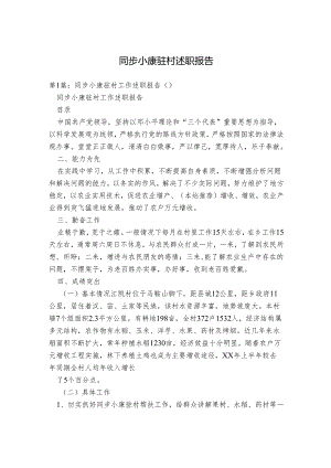 同步小康驻村述职报告.docx