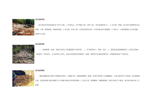 泥石流预防知识.docx