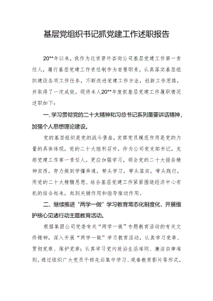 基层党组织书记抓党建工作述职报告10.docx