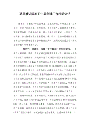 某县推进国家卫生县创建工作经验做法.docx