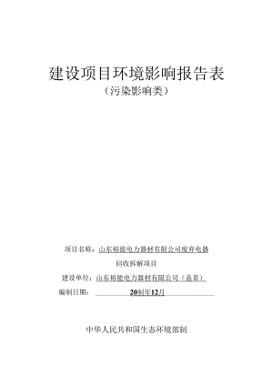 废弃电器回收拆解项目环评报告表.docx