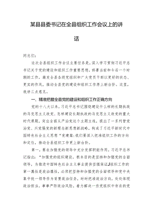 某县县委书记在全县组织工作会议上的讲话.docx