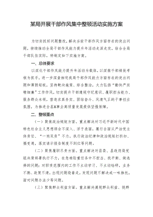 某局开展干部作风集中整顿活动实施方案.docx