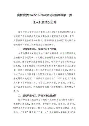 高校党委书记2023年履行法治建设第一责任人职责情况总结.docx