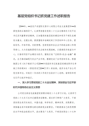 基层党组织书记抓党建工作述职报告8.docx
