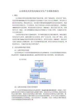 山东核电光伏发电场安全生产专项检查报告（2024年4月）.docx