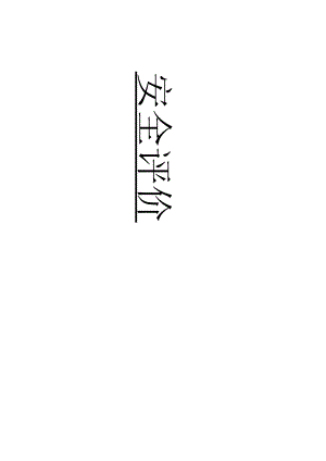 安全评价书.docx